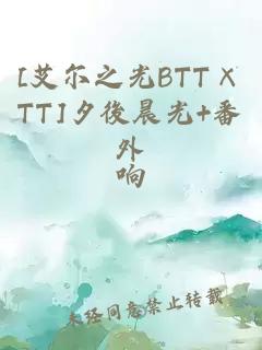 [艾尔之光BTT×TT]夕後晨光+番外