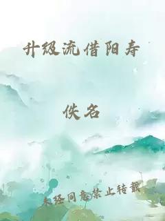 升级流借阳寿