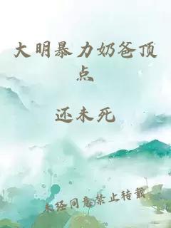 大明暴力奶爸顶点