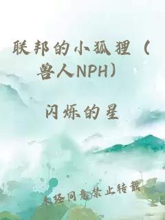 联邦的小狐狸（兽人NPH）