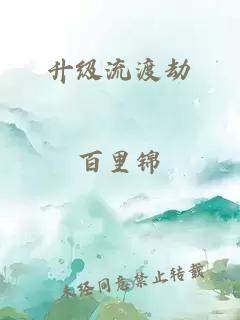 升级流渡劫