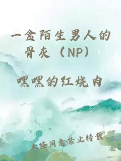 一盒陌生男人的骨灰（NP）