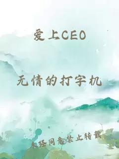 爱上CEO