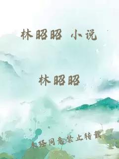 林昭昭 小说