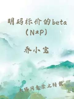 明码标价的beta（N*P）