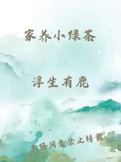 家养小绿茶