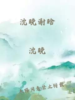 沈晚谢晗