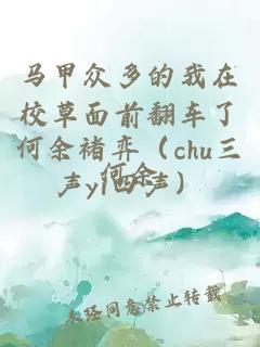 马甲众多的我在校草面前翻车了何余褚弈（chu三声yi四声）