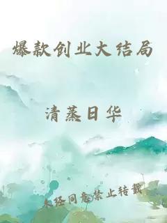 爆款创业大结局