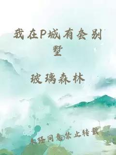 我在P城有套别墅