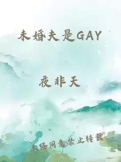 未婚夫是GAY