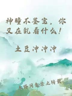 神瞳不鉴宝，你又在乱看什么！