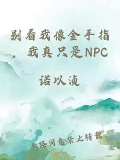 别看我像金手指，我真只是NPC