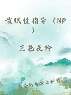 催眠性指导（NP）